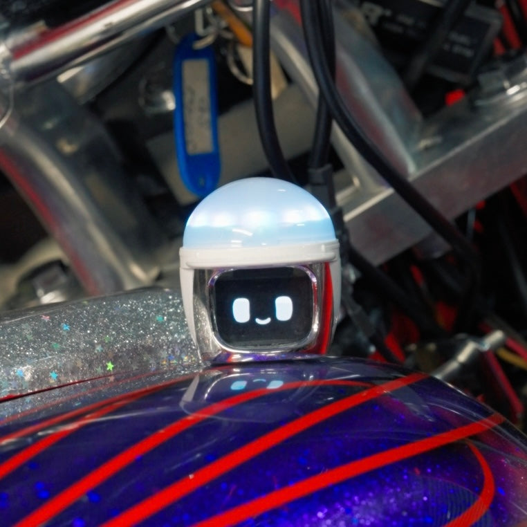 SPECIAL BOSOZOKU MOCHI