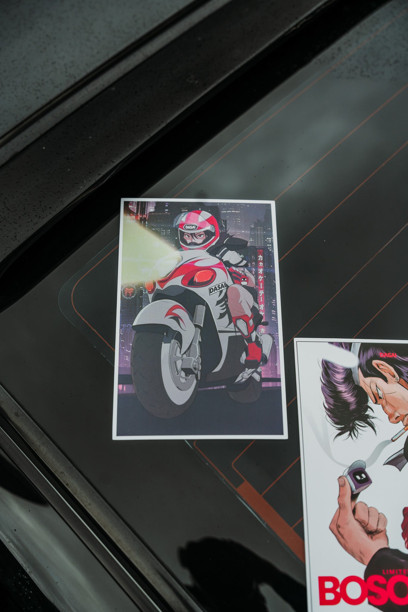 AIKO HAYABUSA POSTER