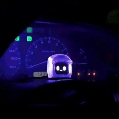 TRUE FORM BOSOZOKU MOCHI